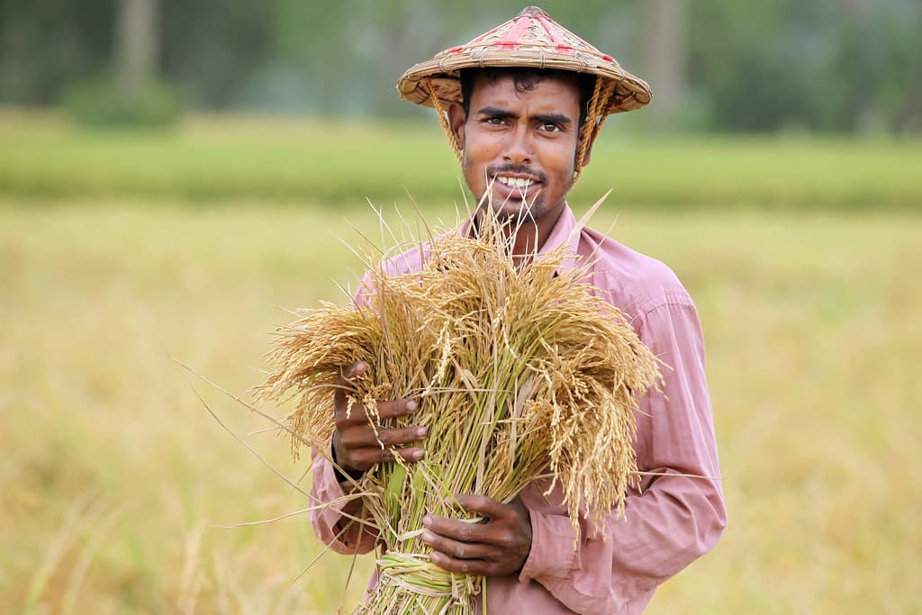 Modern farmer using smart farming technology